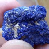 Azurita<br />Grupo Minero San Telmo, El Cerro de Andévalo, Comarca El Andévalo, Huelva, Andalucía, España<br />2,5 x 2 cm<br /> (Autor: Cristalino)
