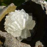 CalcitaNiu Corbu Quarry, Noragugume, Nuoro Province, Sardinia/Sardegna, Italy9 x 7 cm (Autor: nerofis2)