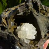 CalcitaNiu Corbu Quarry, Noragugume, Nuoro Province, Sardinia/Sardegna, Italy9 x 7 cm (Autor: nerofis2)
