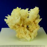Aragonito (variedad coraloide)Canteras de Mármol, Macael, Comarca Valle del Almanzora, Almería, Andalucía, España10 cm (W) x 9 cm (H) (Autor: Francisco Montalvo)