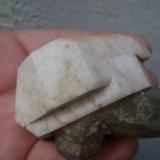 Microclina   y Cuarzo.<br />Belvís de Monroy, Comarca Campo Arañuelo, Cáceres, Extremadura, España<br />7 x 5 x 4 cm.<br /> (Autor: P. apita)
