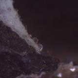 Clinoptilolita<br />Barranco de Tocodoman, La Aldea de San Nicolás, Gran Canaria, Provincia de Las Palmas, Canarias, España<br />5 x 5 cm. (detalle)<br /> (Autor: Jose Bello)