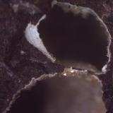 Clinoptilolita<br />Barranco de Tocodoman, La Aldea de San Nicolás, Gran Canaria, Provincia de Las Palmas, Canarias, España<br />5 x 5 cm. (detalle)<br /> (Autor: Jose Bello)