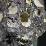 Clinoptilolita<br />Barranco de Tocodoman, La Aldea de San Nicolás, Gran Canaria, Provincia de Las Palmas, Canarias, España<br />5 x 5 cm. (detalle)<br /> (Autor: Jose Bello)