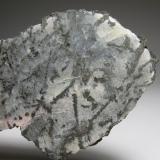 Plata<br />Zona Cobalt, Región Cobalt-Gowganda, Distrito Timiskaming, Ontario, Canadá<br />9,5 x 4,5 x 1 cm<br /> (Autor: Antonio Alcaide)