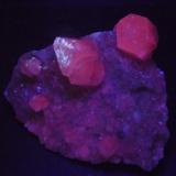 Calcita pieza anterior a ultravioleta.Pedrera Sala (Pedrera de l'Americano), Puig de Sant Vicenç, Gualba, Comarca Vallès Oriental, Barcelona, Cataluña / Catalunya, España80x70 mm. (Autor: Jesus Franquesa Baucells)