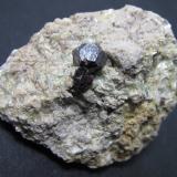 RutiloMina Champion, Pico White Mountain, Montes White, Condado Mono, California, USA5''5 x 4''5 cm. (Autor: prcantos)