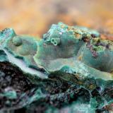 Pseudomalaquita<br />Mina La Virgen, Andújar, Comarca de la Campiña, Jaén, Andalucía, España<br />Campo de visión de 10 mm.<br /> (Autor: Antonio Carmona)