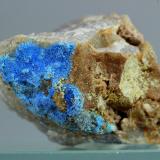 CianotriquitaQinglong, Donghai County, Prefectura Lianyungang, Provincia Jiangsu, China33x25 mm (Autor: Juan Espino)