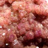 Calcita (variedad calcita cobaltífera)<br />Mina Solita, Peramea, Baix Pallars, Comarca Pallars Sobirà, Lérida / Lleida, Cataluña / Catalunya, España<br />5 x 5,5 x 3 cm.<br /> (Autor: Felipe Abolafia)