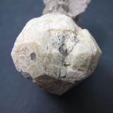 Leucita<br />Orchi, Conca della Campania, Complejo volcánico Roccamonfina, Provincia Caserta, Campania, Italia<br />3 x 3 cm.<br /> (Autor: prcantos)