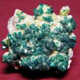 Dioptase<br />Tsumeb Mine, Tsumeb, Otjikoto Region, Namibia<br />50x50mm<br /> (Author: Heimo Hellwig)