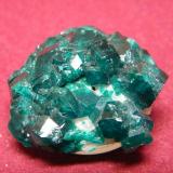 Dioptase<br />Tsumeb Mine, Tsumeb, Otjikoto Region, Namibia<br />35x30mm<br /> (Author: Heimo Hellwig)