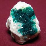 Dioptase<br />Tsumeb Mine, Tsumeb, Otjikoto Region, Namibia<br />30X40mm<br /> (Author: Heimo Hellwig)