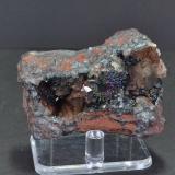 Hematite (var. specularite) and Quartz<br />New Parkside Mines, Frizington, West Cumberland Iron Field, former Cumberland, Cumbria, England / United Kingdom<br />5.5 x 3.0 cm<br /> (Author: captaincaveman)