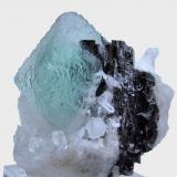 Fluorite, hübnerite, quartz
Huayllapon Mine (Huallapon Mine), Pasto Bueno District, Pallasca Province, Ancash Department, Peru
65 mm x 65 mm x 56 mm (Author: Carles Millan)