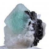 Fluorite, hübnerite, quartz
Huayllapon Mine (Huallapon Mine), Pasto Bueno District, Pallasca Province, Ancash Department, Peru
65 mm x 65 mm x 56 mm (Author: Carles Millan)
