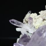 Quartz var amethyst
Piedra Parada (Las Vigas Mine), Tatatila, Veracruz de Ignacio de la Llave, Mexico
16.7 x 12.8 cm (Author: Don Lum)