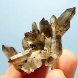 Quartz var. smoky, Aegirine and feldspar.
Mount Malosa, Zomba, Malawi.
65 x 38 x 33 mm (Author: Pierre Joubert)