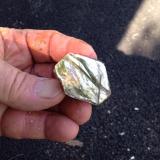 Phlogopite
Amity ny
42 mm (Author: Glenn Rhein)