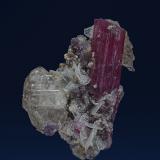 Elbaite, Quartz, Albite, Lepidolite
Jonas Mine, Conselheiro Pena, Doce valley, Minas Gerais, Brazil
6.4 x 4.3 cm (Author: am mizunaka)