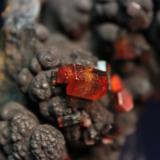 Vanadinite, Manganese Oxides
Taouz, Er Rachidia, Meknès-Tafilalet, Morocco
9 x 7.5 x 7 cm (Author: Don Lum)