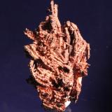 Copper
Phoenix Mine, Phoenix, Keweenaw County, Michigan, USA
5.0 x 3.0 cm (Author: Don Lum)