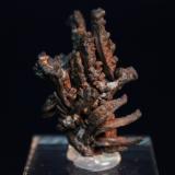 Copper
Central Mine, Central, Keweenaw County, Michigan, USA
4.3 x 3.1 cm (Author: Don Lum)