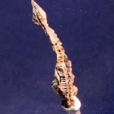 Copper
Chino Mine, Santa Rita, Grant County, New Mexico, USA
45 x 10 mm
spinel twin copper crystal (Author: Don Lum)