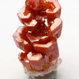 Vanadinite
Mibladen, Midelt, Khénifra, Meknès-Tafilalet, Morocco
1.5 cm tall
Cute hoppered crystals of Vanadinite. (Author: xdxucn)