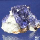 Fluorite, Sphalerite, Dolomite, Calcite
Elmwood Mine, Smith County, Tennessee, USA
7.0 x 6.0 cm (Author: Don Lum)