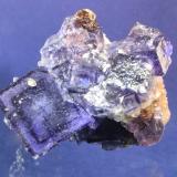 Fluorite, Sphalerite, Dolomite, Calcite
Elmwood Mine, Smith County, Tennessee, USA
7.0 x 6.0 cm (Author: Don Lum)