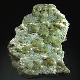 Andradite var. demantoid
Ciappanico Mine, Malenco Valley, Sondrio Prov., Lombardy, Italy
7.5 x 8.5 cm.
Pale green demantoid crystals scattered over the top surface of a green serpentine matrix. (Author: crosstimber)