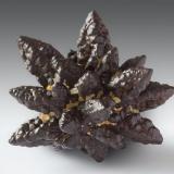 Hematite pseudomorph after Marcasite
White Desert, Farafra Oasis, Matruh Governorate, Egypt
3.2 x 2.5 x 2.1 cm
A lustrous, burnished brown, spear-like, stellate Hematite after Marcasite floater specimen from the White Desert of Egypt. (Author: xdxucn)