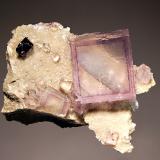 Fluorite
Elmwood, Carthage, Smith Co., Tennessee, USA
5.2 x 6.4 cm
Pale purple, zoned fluorite with a small dark brown sphalerite crystal on dolomitic limestone. (Author: crosstimber)