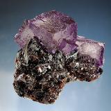 Fluorite
Elmwood Mine, Carthage, Smith County, Tennessee, USA
6.0 x 6.0 cm
Lustrous purple fluorite cubes with a mosaic surface texture resting on lustrous brown sphalerite crystals. (Author: crosstimber)