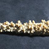 Calcite
Postojna, Notranjska Province, Slovenia
20 x 4.7 cm
"Stag-horn" Stalactite
ex Alvin Schortmann
ex Carl R. Bentley (Author: Don Lum)