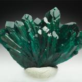 Dioptase
Congo
3.1 x 2.3 x 1.5 cm
 (Author: xdxucn)