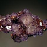 Fluorite
Elmwood Mines, Carthage, Smith Co., Tennessee, USA
7.0 x 12.5 cm
Combination of light purple fluorite with pale yellow centers and purple rims, reddish-brown sphalerite, and a single small colorless calcite. (Author: crosstimber)