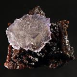 Fluorite
Elmwood Mines, Carthage, Smith Co., Tennessee, USA
6.0 x 7.5 cm
Pale purple fluorite crystal on a matrix of lustrous brown sphalerite. (Author: crosstimber)