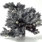 Stibnite with Siderite
Herja Mine, Chiuzbaia (Kisbánya), Baia Mare (Nagybánya), Maramures Co., Romania
7 x 5.5 x 3.5 cm (Author: xdxucn)