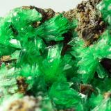 Annabergite (Mg-bearing annabergite)<br />Km-3 Mine, Lavrion, Lavrion Mining District, Attikí (Attica) Prefecture, Greece<br />4 x 2 x 2.5 cm<br /> (Author: xdxucn)