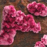 Erythrite<br />Mount Cobalt Mine, Selwyn District, Cloncurry Shire, Queensland, Australia<br />27 mm x 25 mm x 19 mm<br /> (Author: xdxucn)