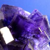 Fluorite
Mine, Huergo, La Collada mining area, Siero, Asturias, Spain
8.2 x 8.0 cm
A cluster of richly saturated intense purple intergrown and equant fluorite cubes.  The cubes are lustrous and translucent and exhibit thin modifying faces to the cubes and phantoms (Author: Don Lum)