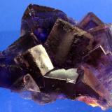Fluorite
La Viesca, Huergo, La Collada mining area, Siero, Asturias, Spain
8.2 x 8.0 cm
A cluster of richly saturated intense purple intergrown and equant fluorite cubes.  The cubes are lustrous and translucent and exhibit thin modifying faces to the cubes and phantoms. (Author: Don Lum)