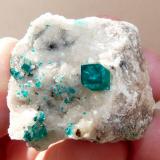 Dioptase on calcite.
Tsumeb, Namibia
47 x 36 x 31 mm
Same as above. (Author: Pierre Joubert)