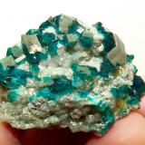 Dioptase on calcite.
Tsumeb, Namibia
45 x 33 x 30 mm
Same as above. (Author: Pierre Joubert)