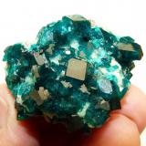 Dioptase on calcite.
Tsumeb, Namibia
45 x 33 x 30 mm
Same as above. (Author: Pierre Joubert)