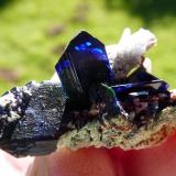 Azurite
Tsumeb, Namibia
26 x 17 x 16 mm
Sunlight behind. (Author: Pierre Joubert)