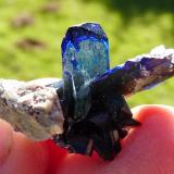 Azurite
Tsumeb, Namibia
26 x 17 x 16 mm
Sunlight behind. (Author: Pierre Joubert)